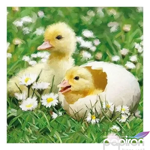 Szalvéta Ambiante Newborn Chicks papírszalvéta 33x33cm,20db-os