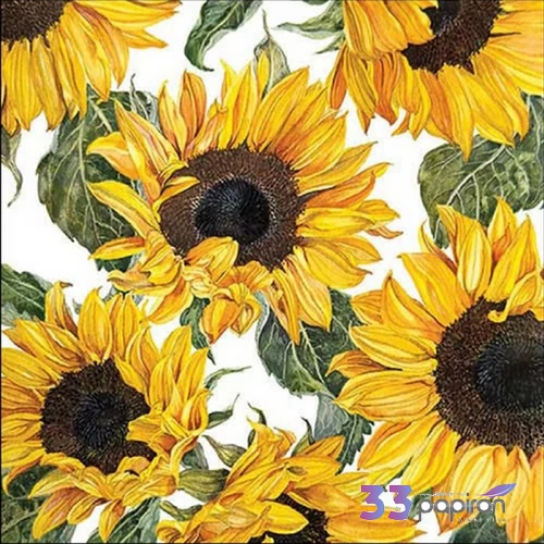 Szalvéta Ambiante napraforgós Sunflowers blossoming papírszalvéta 33x33cm,20db-os