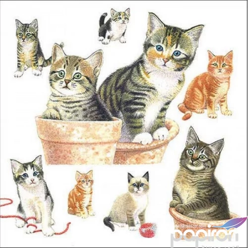 Szalvéta Ambiante Cute kittens papír papírszalvéta 33x33cm,20db-os