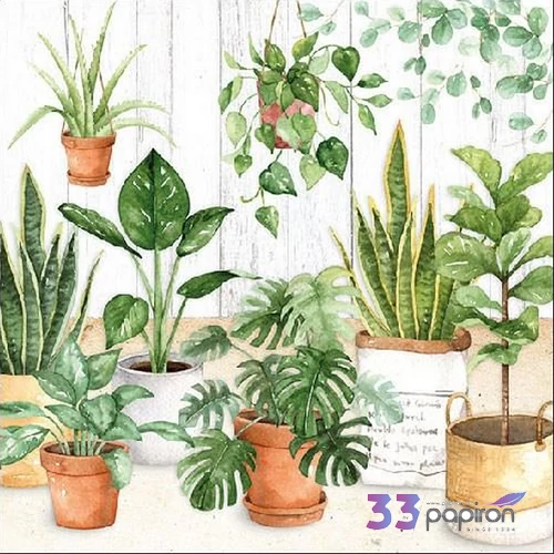 Szalvéta Ambiente Urban Jungle 33x33cm 3rétegű 20db/csomag 13313260 szalvéta.