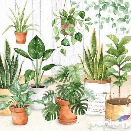 Szalvéta Ambiente Urban Jungle 33x33cm 3rétegű 20db/csomag 13313260 szalvéta.