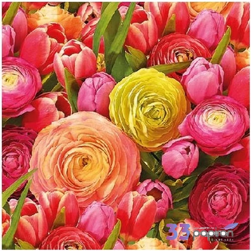 Szalvéta Ambiente virágos Ranunculus 25x25cm 3rétegű 20db/csomag
