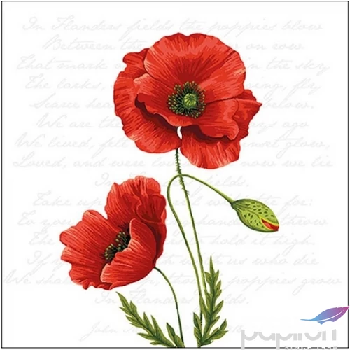 Szalvéta Ambiante Proud Poppy papírszalvéta 33x33cm,20db-os