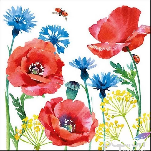 Szalvéta Ambiante Cornflower and Poppy papírszalvéta 33x33cm,20db-os