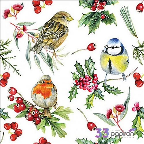 Szalvéta Birds in Winter 25x25cm, 20db-os