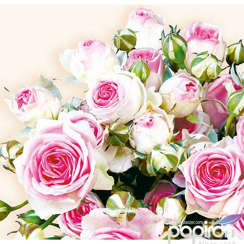Szalvéta Maxima Crema Rózsa 33x33cm 3rétegű 20db/csomag