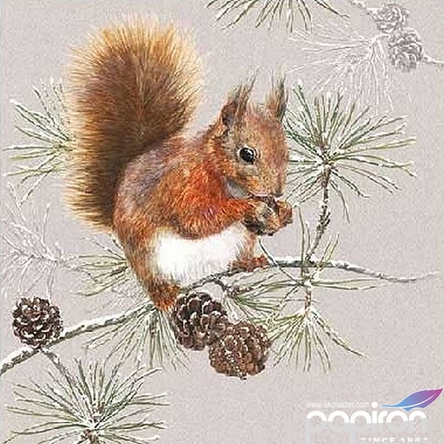 Szalvéta Ambiante Squirrel In Winter papírszalvéta 25x25cm,15db-os