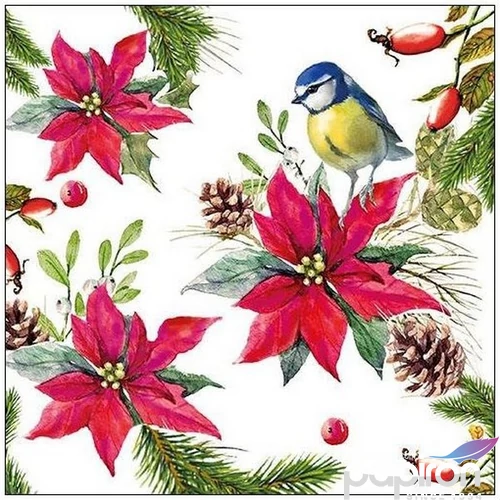 Szalvéta Ambiante Bird on Poinsettia white papír papírszalvéta 33x33cm,20db-os