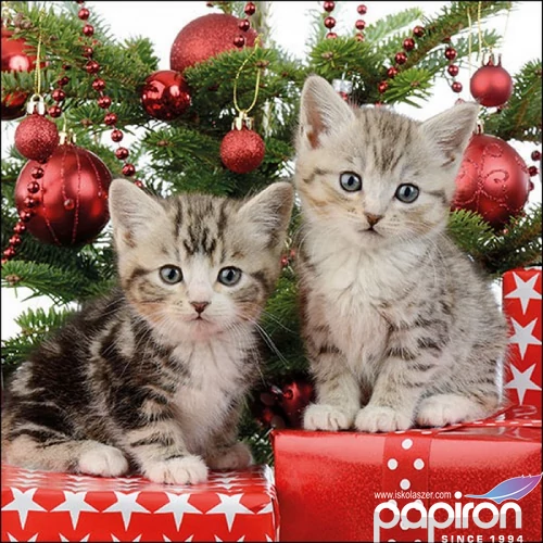 Szalvéta Ambiante Christmas Kitten papír papírszalvéta 33x33cm,20db-os