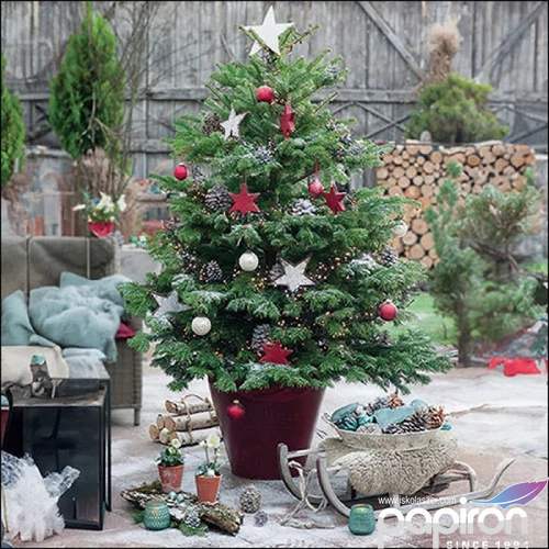 Szalvéta Ambiante Decorated fir papír papírszalvéta 33x33cm,20db-os