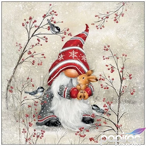 Szalvéta Ambiante Dwarf hug papírszalvéta 25x25cm,15db-os