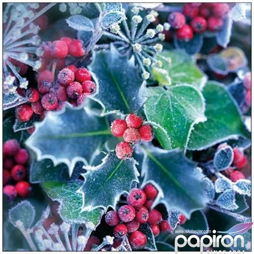 Szalvéta Ambiante Frozen Holly papír papírszalvéta 33x33cm,20db-os