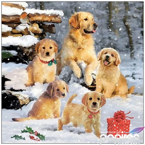 Szalvéta Ambiante Golden retriever puppiees papírszalvéta 25x25cm,15db-os