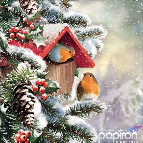 Szalvéta Ambiante House with robins papírszalvéta 25x25cm,15db-os