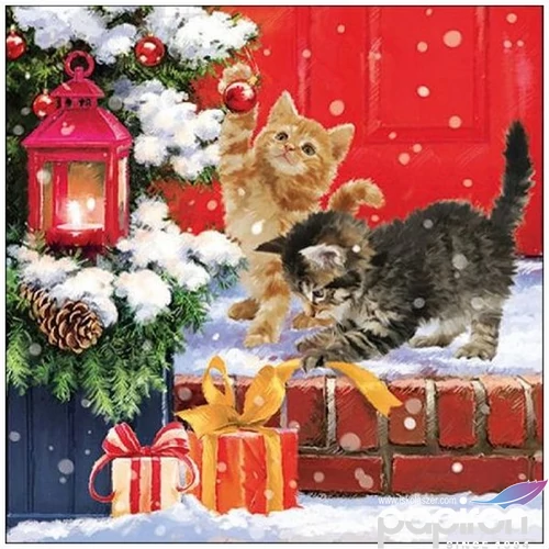 Szalvéta Ambiante Kittens On Doorstep papírszalvéta 33x33cm,20db-os