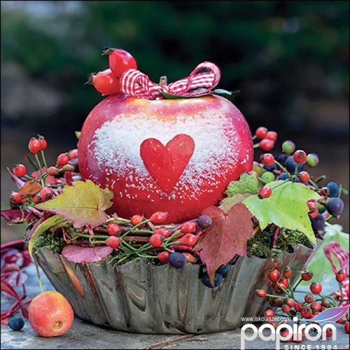 Szalvéta Ambiante Snow dusted apple papírszalvéta 33x33cm,20db-os