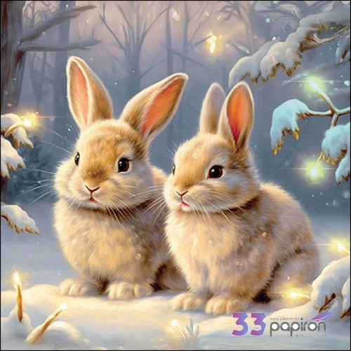 Szalvéta Ambiante Welcome winter papírszalvéta 33x33cm,20db-os
