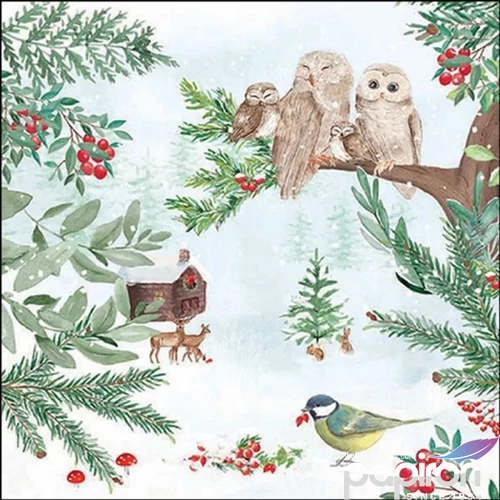 Szalvéta Ambiante Winter outdoor papírszalvéta 33x33cm,20db-os