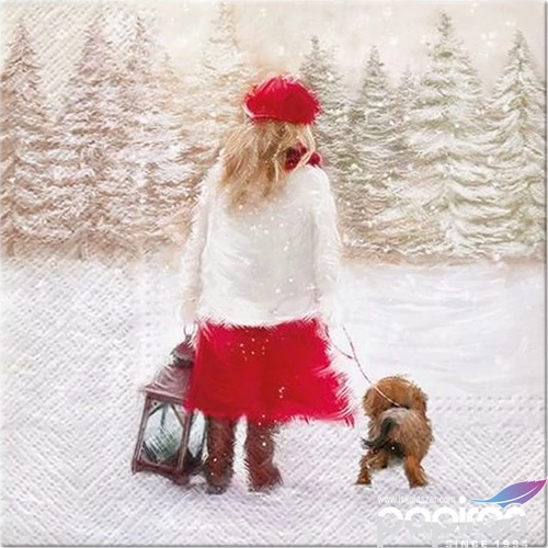 Szalvéta karácsonyi Winter Walk papírszalvéta 33x33cm,20db-os