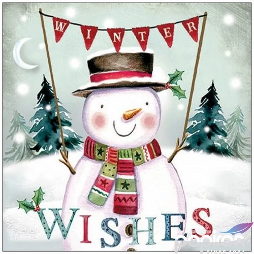 Szalvéta Ambiante Winter Wishes papírszalvéta 33x33cm,20db-os