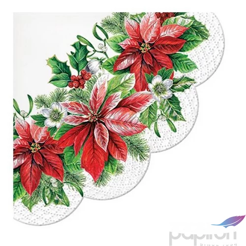 Szalvéta 33x33cm Paw Glory Poinsettia rondo 12db/csomag 3rétegű