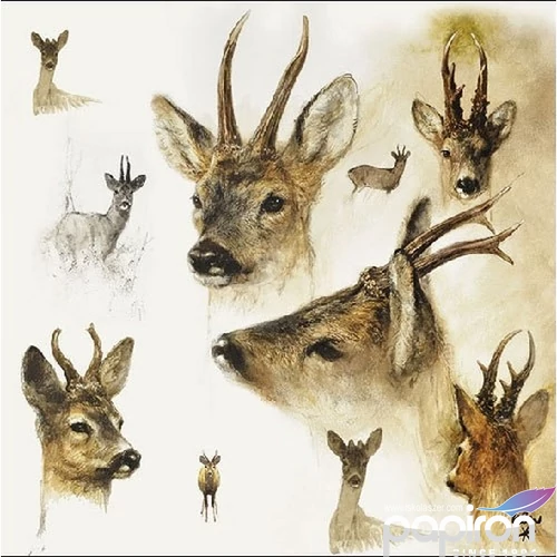 Szalvéta Ambiante Portraits of Deer papírszalvéta 33x33cm,20db-os
