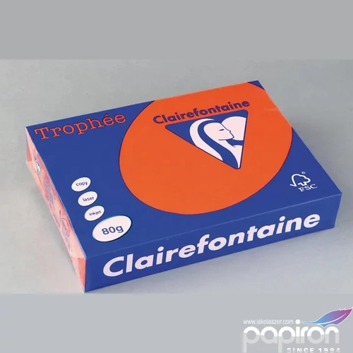Színes másolópapír C.F. 1873 Claire fountaine 1873