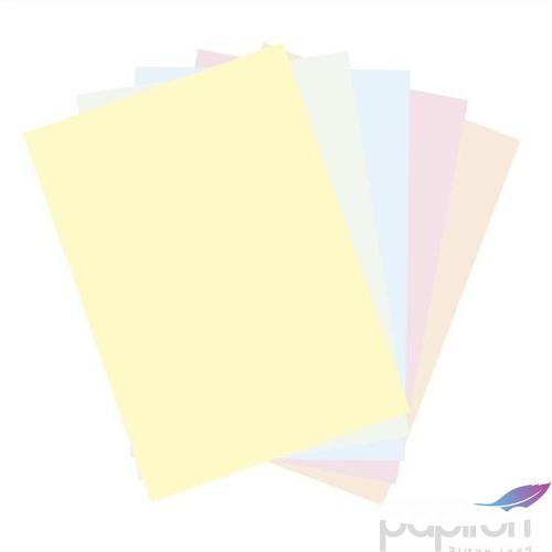 Színes másolópapír XEROX Symphony A4/80gr pasztell mix 5x50 lap, (496L94182)