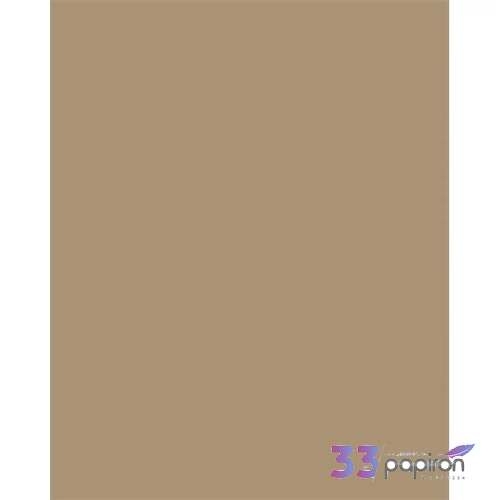 Színes papír A3 130 g 50 lap FOLIA őzbarna