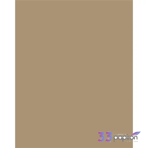 Színes papír A4 130 g 100 lap FOLIA őzbarna