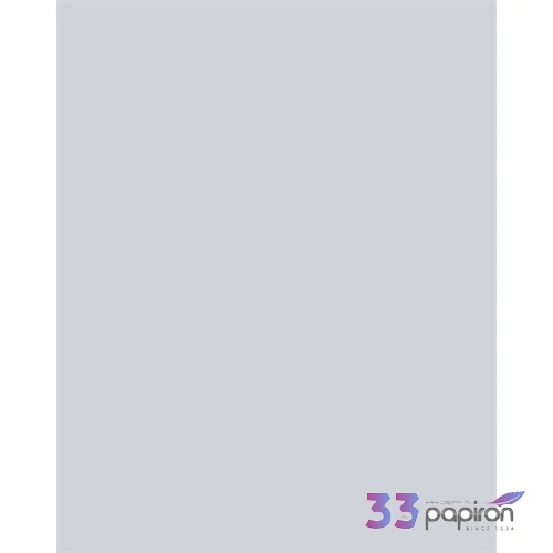 Színes papír A4 130 g 100 lap FOLIA világosszürke