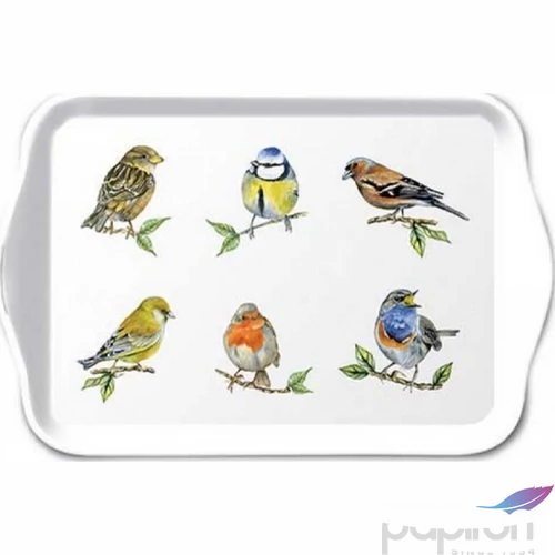 Tálca Ambiante kicsi Bird species white műanyag kistálca 13x21cm