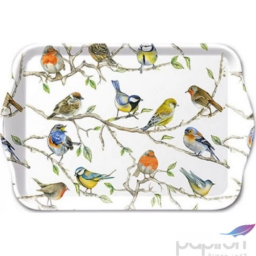 Tálca Ambiante kicsi Birds Meeting műanyag kistálca 13x21cm