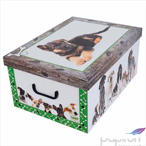 Tárolódoboz maxi 51x37x24 kutya zöld 7036 