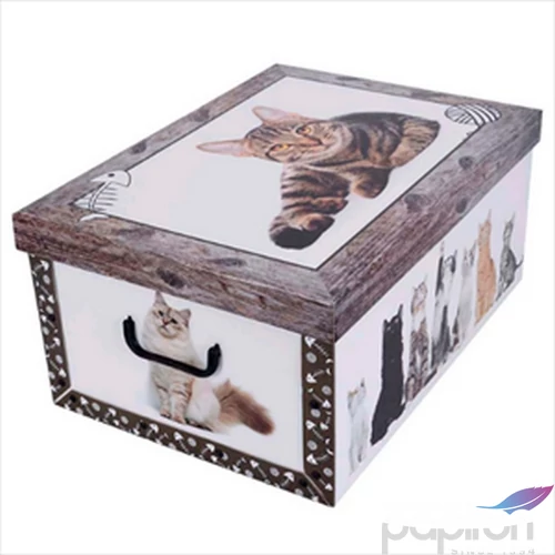 Tárolódoboz maxi 51x37x24 miss space barna cica 7014 