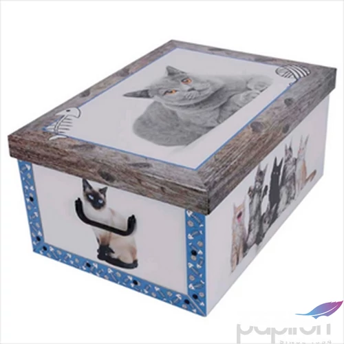 Tárolódoboz maxi 51x37x24 miss spacecica kék 7037 