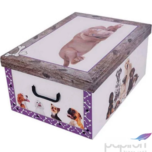 Tárolódoboz Maxi 51x37x24cm környezetbarát, Kutya lila 7013 