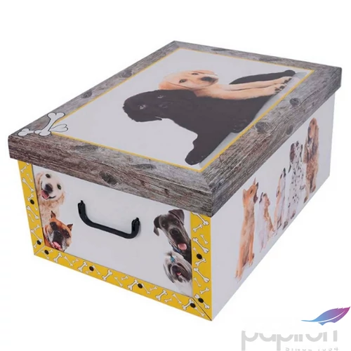 Tárolódoboz Maxi 51x37x24cm Miss Space, kutyás sárga 7009