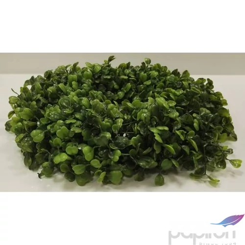 Koszorú dekor buxus 31cm