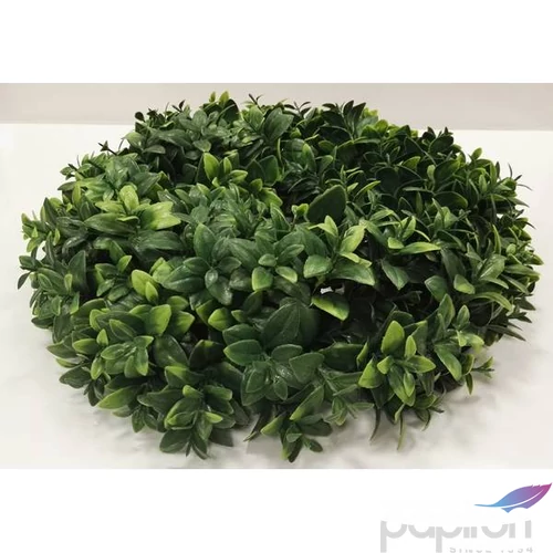 Koszorú dekor buxus 35cm