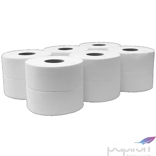 Toalettpapír 2 rétegű 100 % cellulóz 12 tekercs/karton Bluering hófehér_219C105