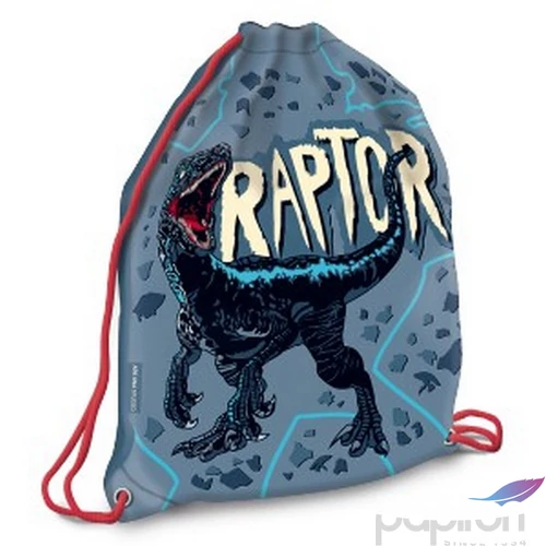 Tornazsák Ars Una sportzsák Raptor (5087) 21 53560872 Könnyű erős tartós anyagból