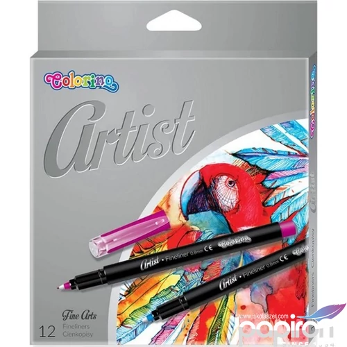 Tűfilckészlet Colorino Artist 12db-os