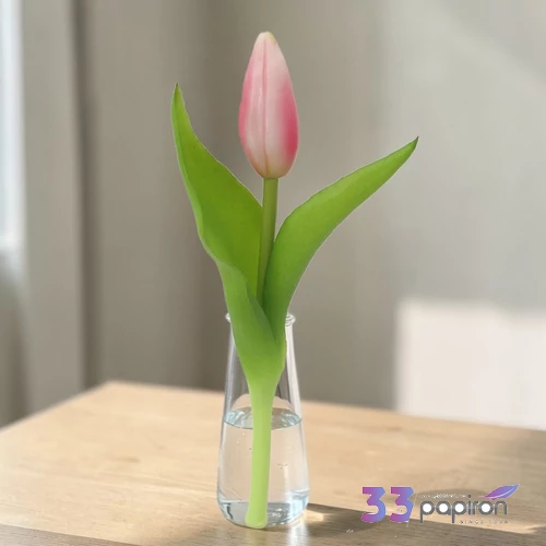 Tulipán rózsaszín 20cm holland virág 1db/ár SDGW26