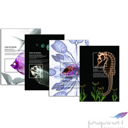 Villámzáras mappa A4 Optima X-Ray mintás vegyesen Papiron